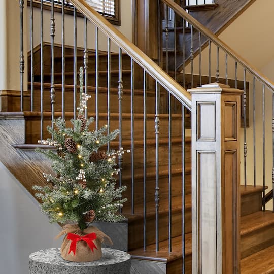 2ft. Pre-Lit Snowy Morgan Spruce Artificial Christmas Tree, Warm White LED Lights